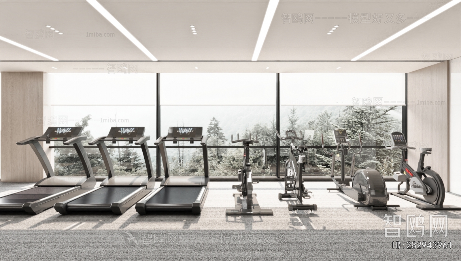 Modern Home Fitness Room