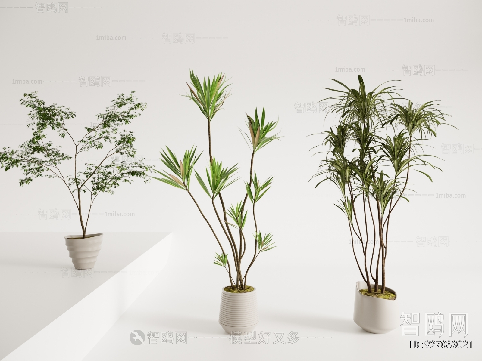 Modern Ground Green Plant Potted Plants