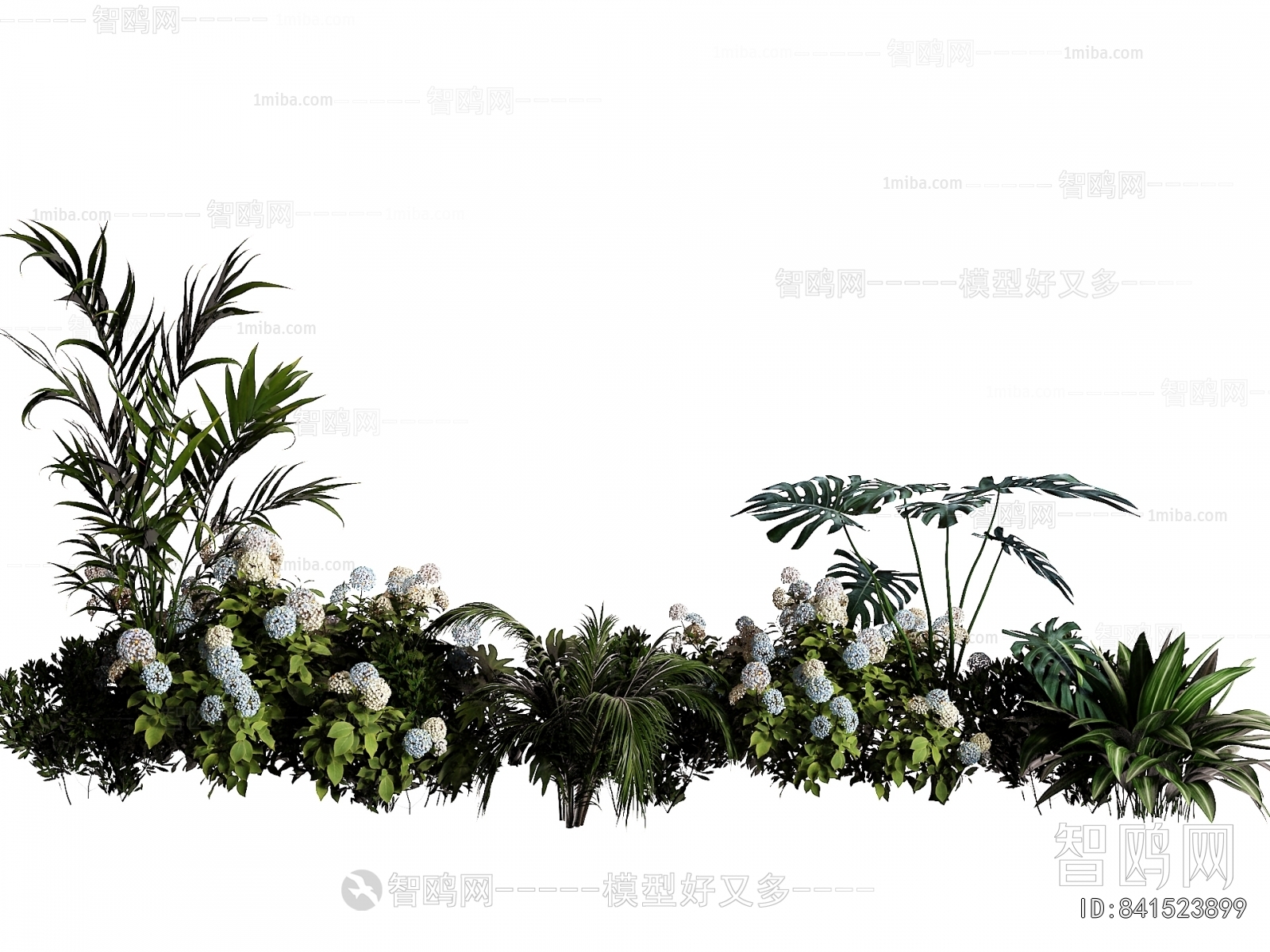Modern Plant Landscaping