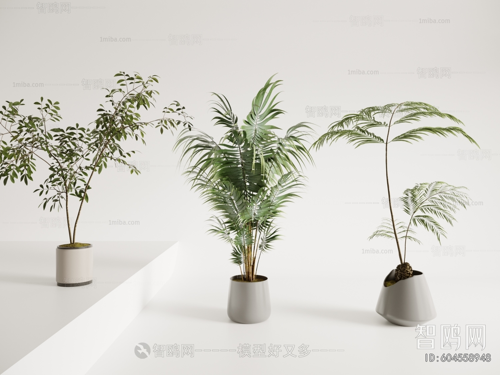 Modern Ground Green Plant Potted Plants