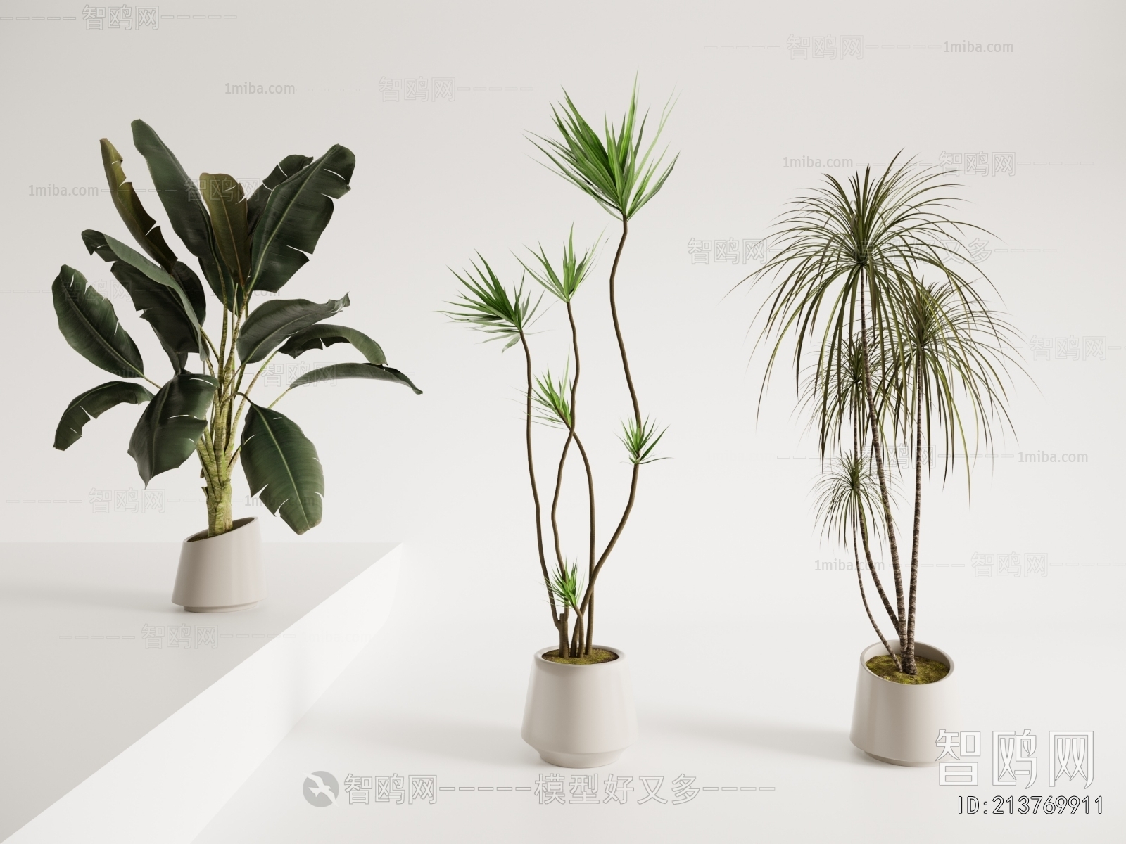 Modern Ground Green Plant Potted Plants