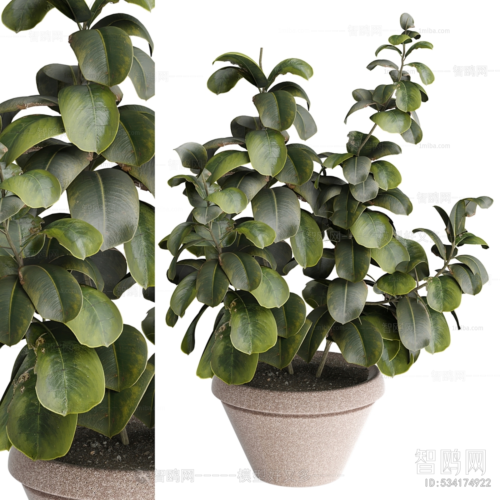 Modern Ground Green Plant Potted Plants