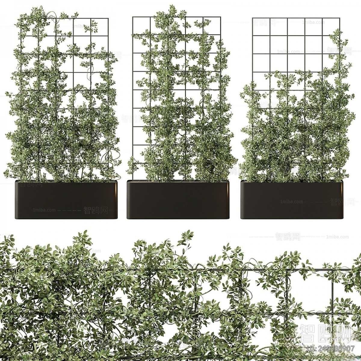 现代花坛 植物架