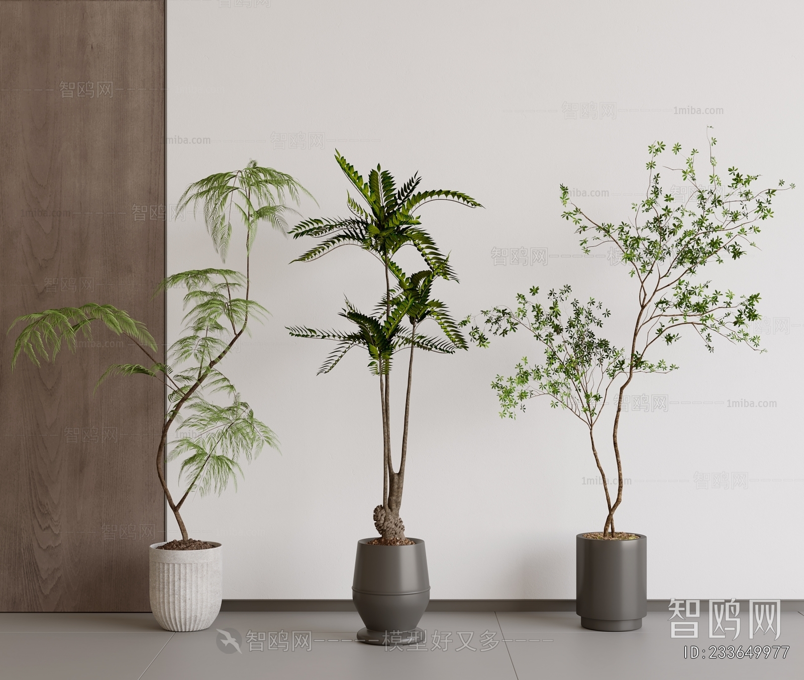 Modern Ground Green Plant Potted Plants