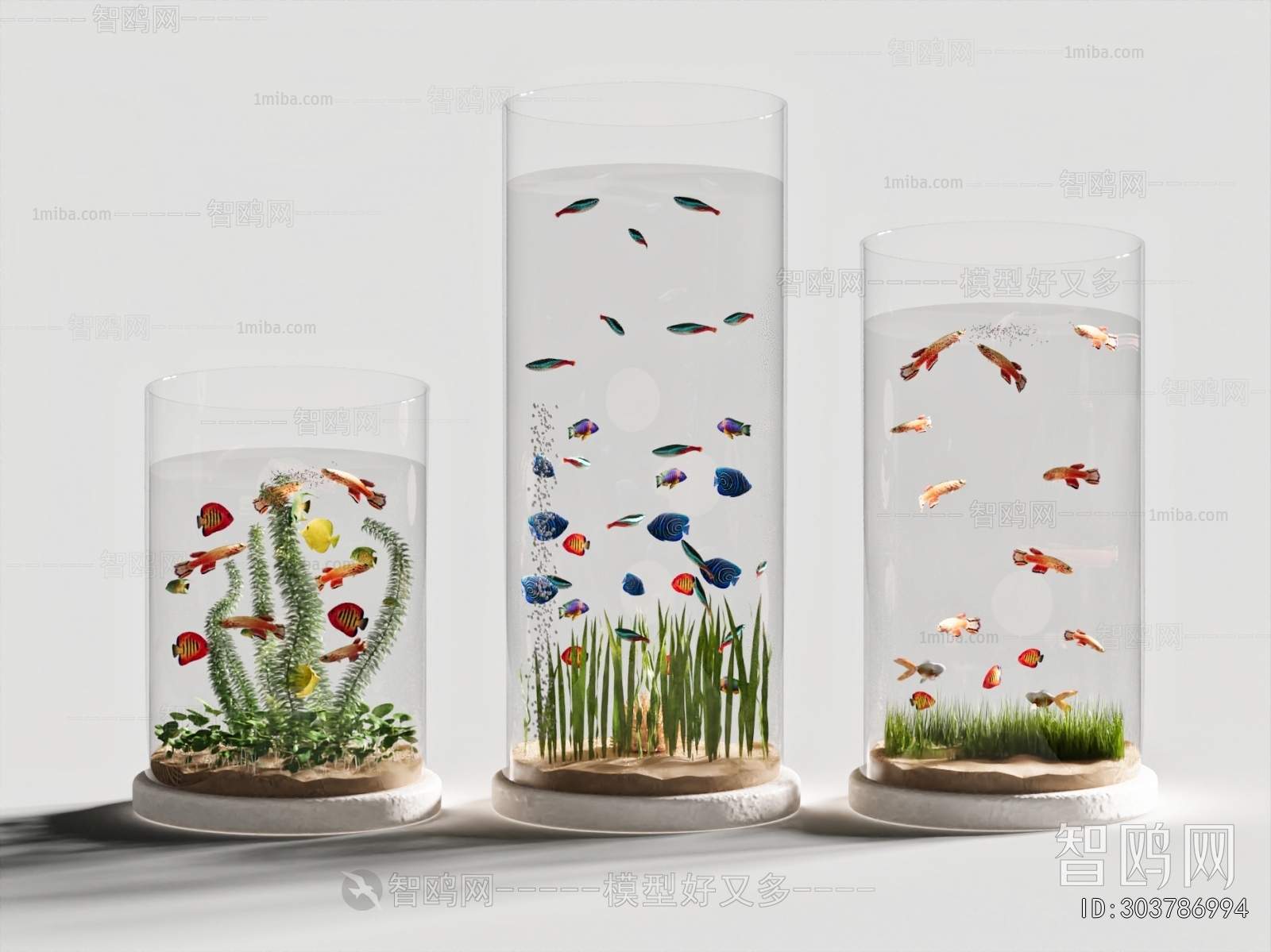 Modern Fish Tank