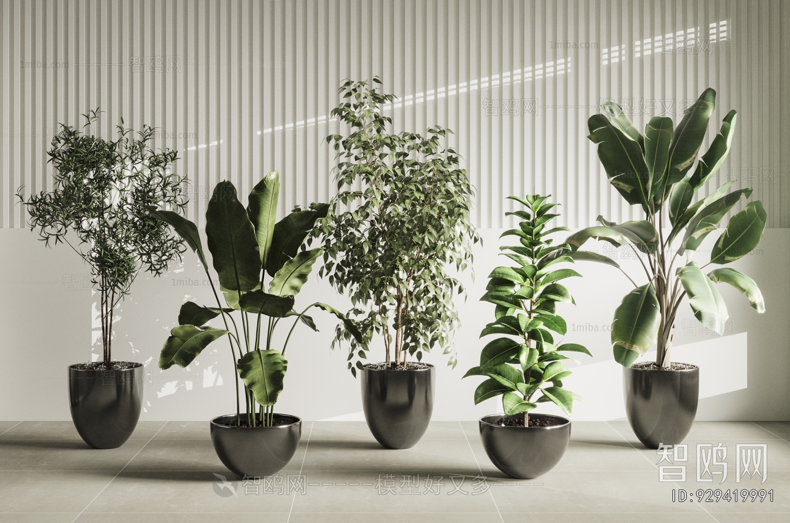 Modern Ground Green Plant Potted Plants