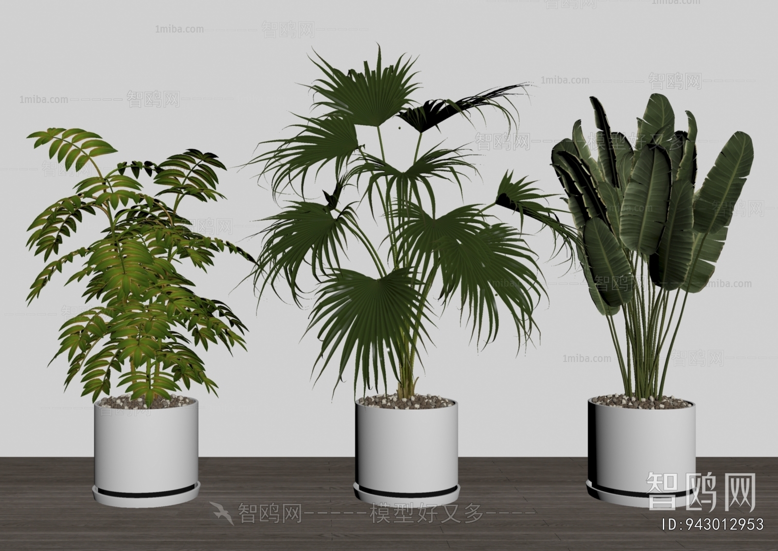 Modern Ground Green Plant Potted Plants