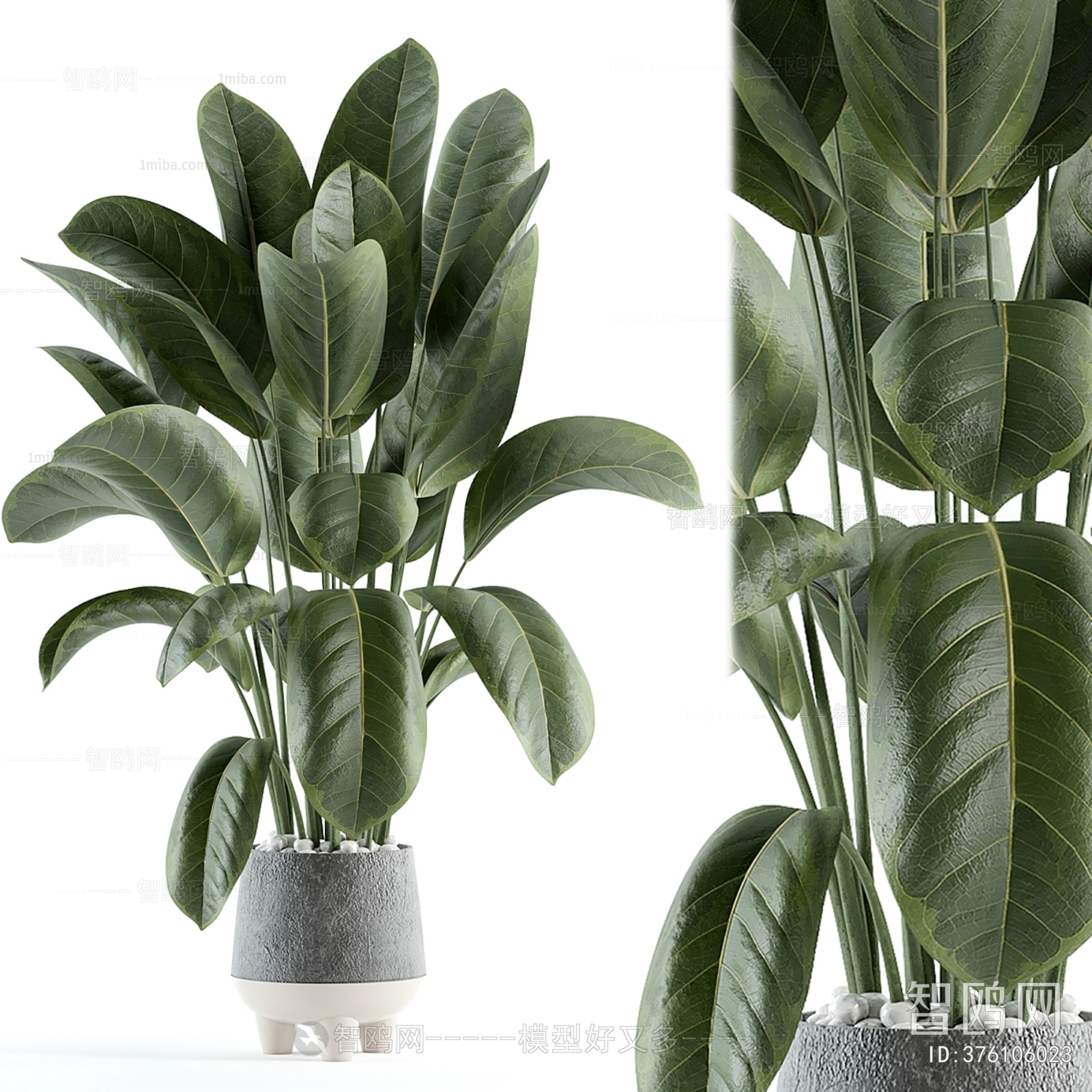 Modern Ground Green Plant Potted Plants