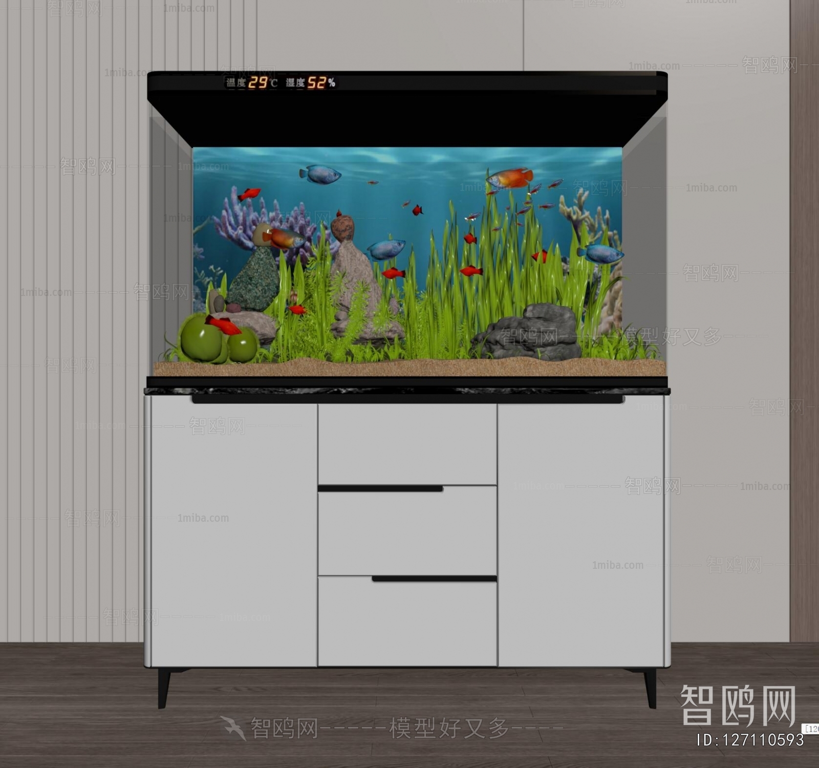 Modern Fish Tank