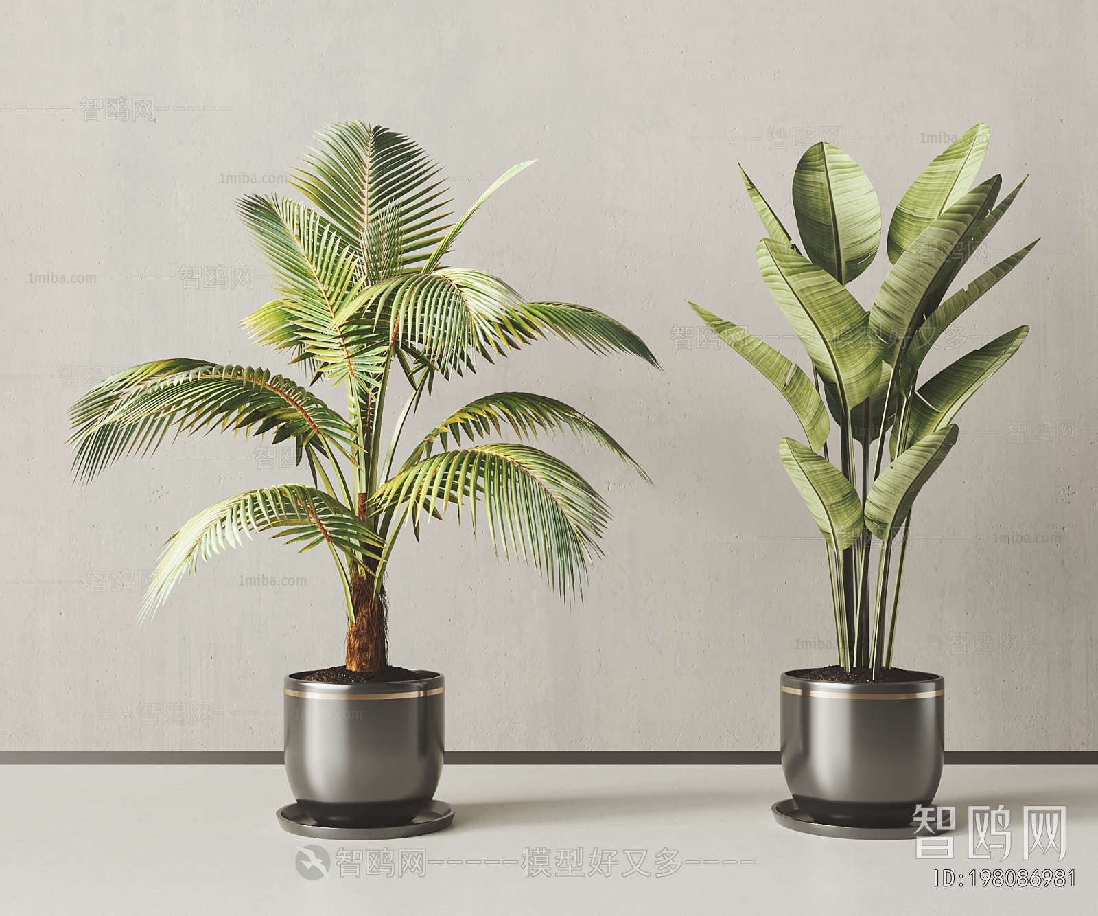 Modern Ground Green Plant Potted Plants