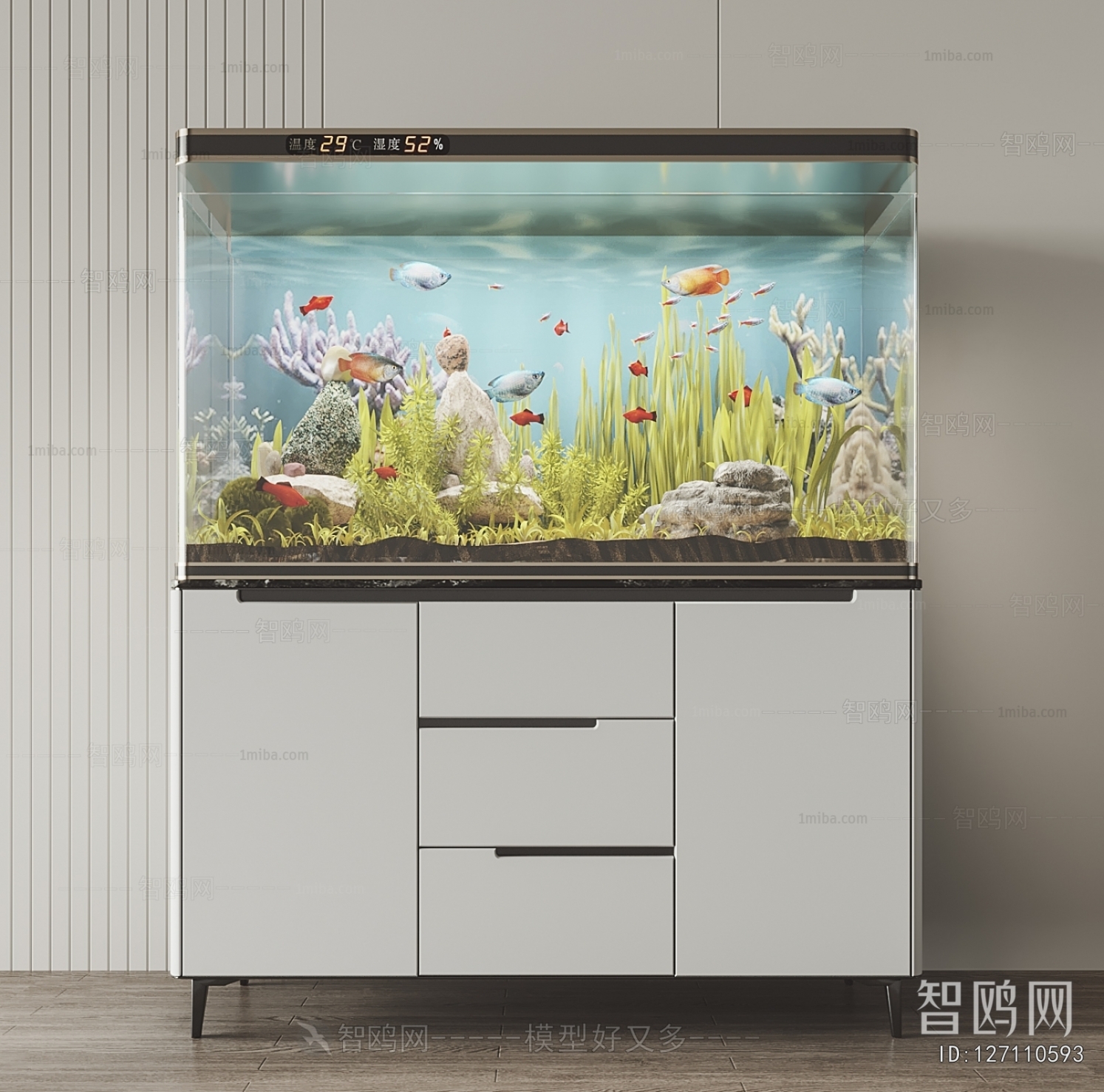 Modern Fish Tank