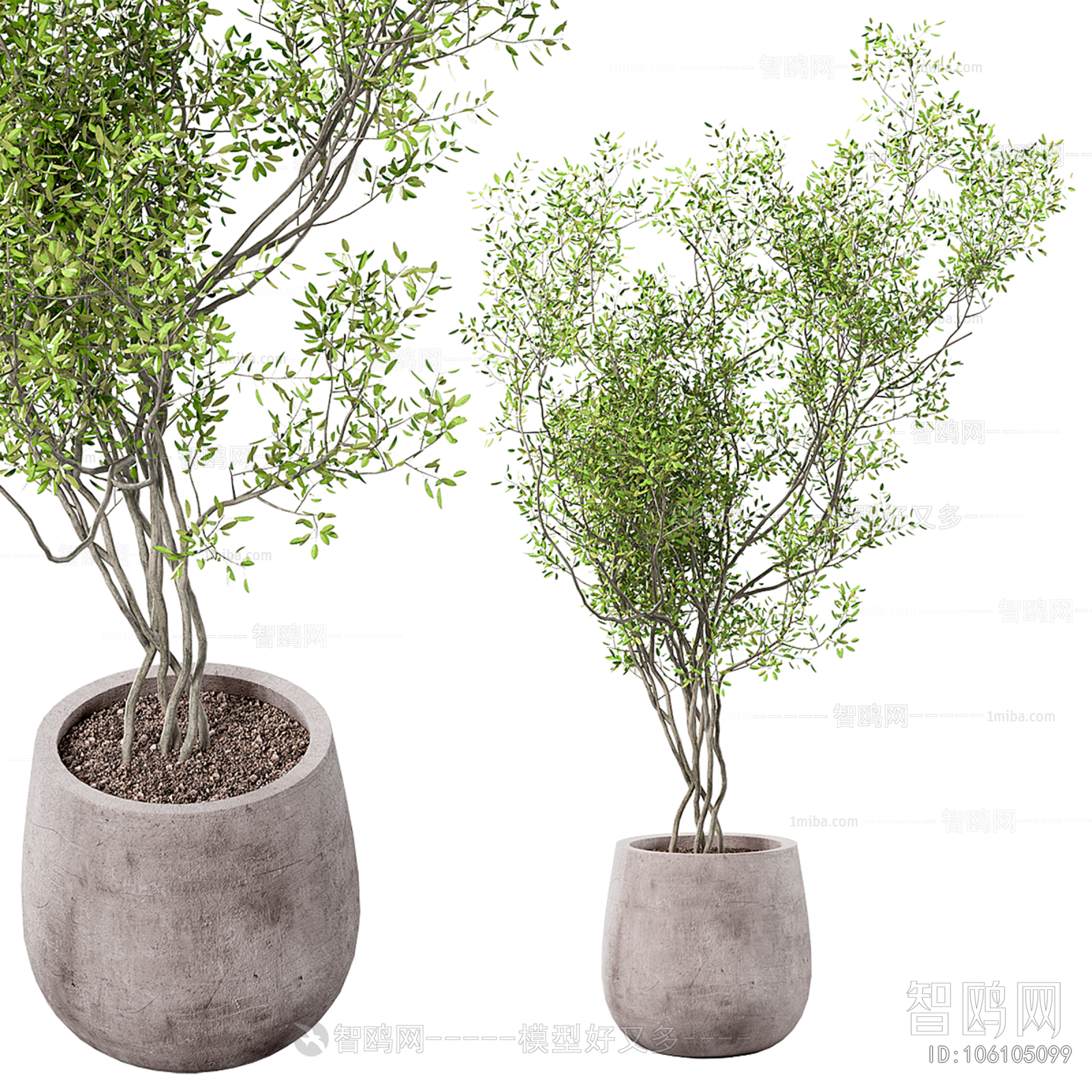 Modern Ground Green Plant Potted Plants