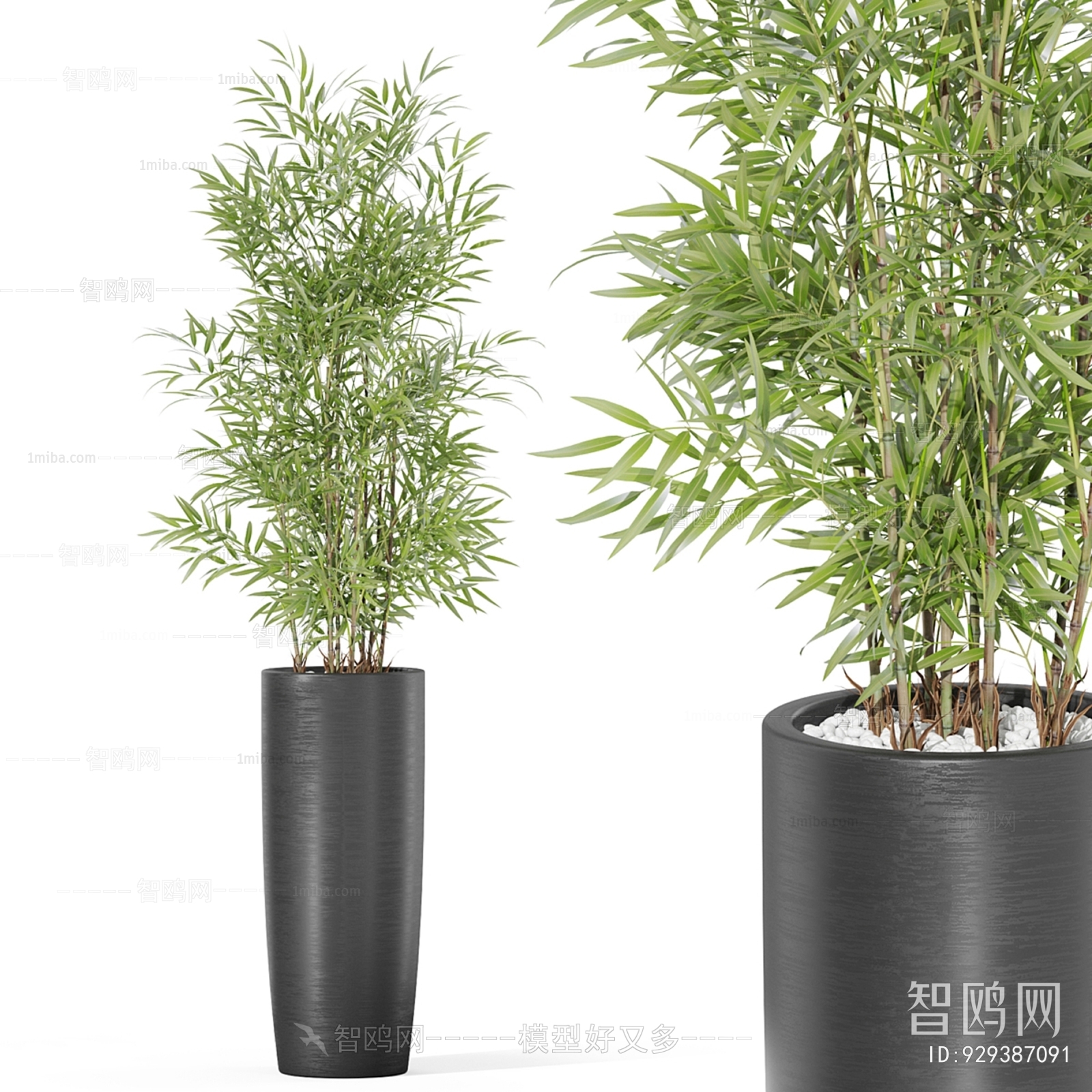 Modern Ground Green Plant Potted Plants