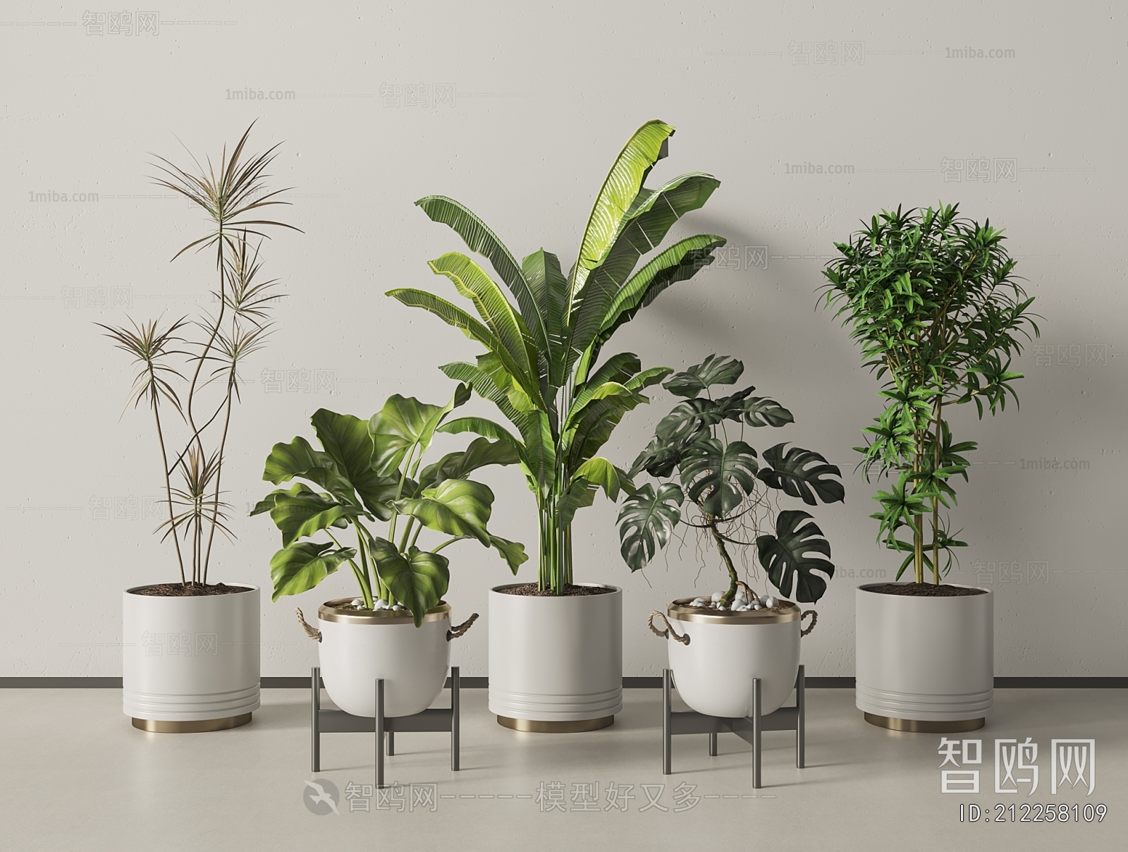 Modern Ground Green Plant Potted Plants