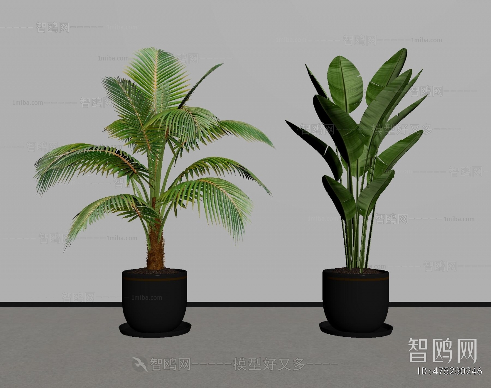 Modern Ground Green Plant Potted Plants