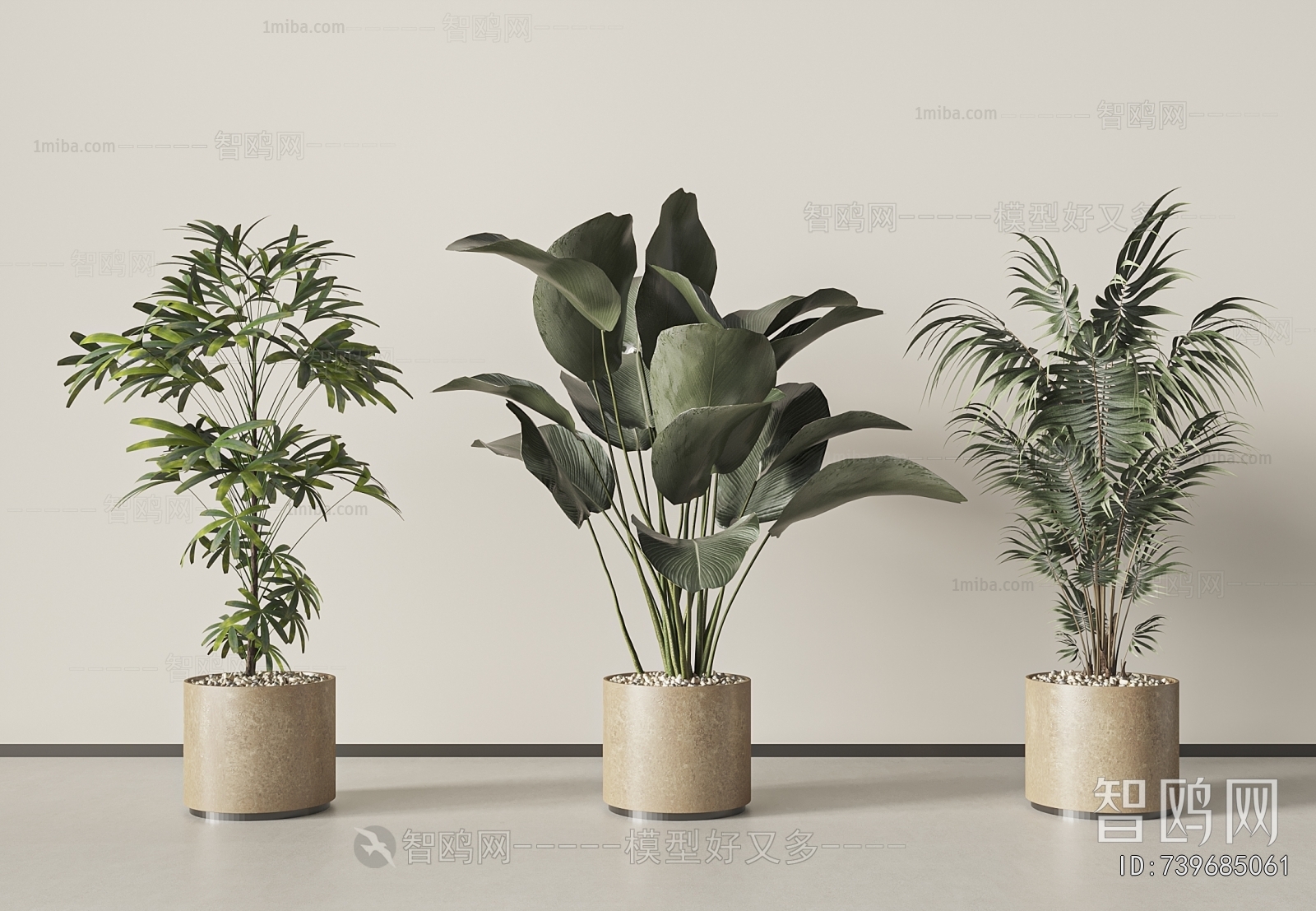 Modern Ground Green Plant Potted Plants