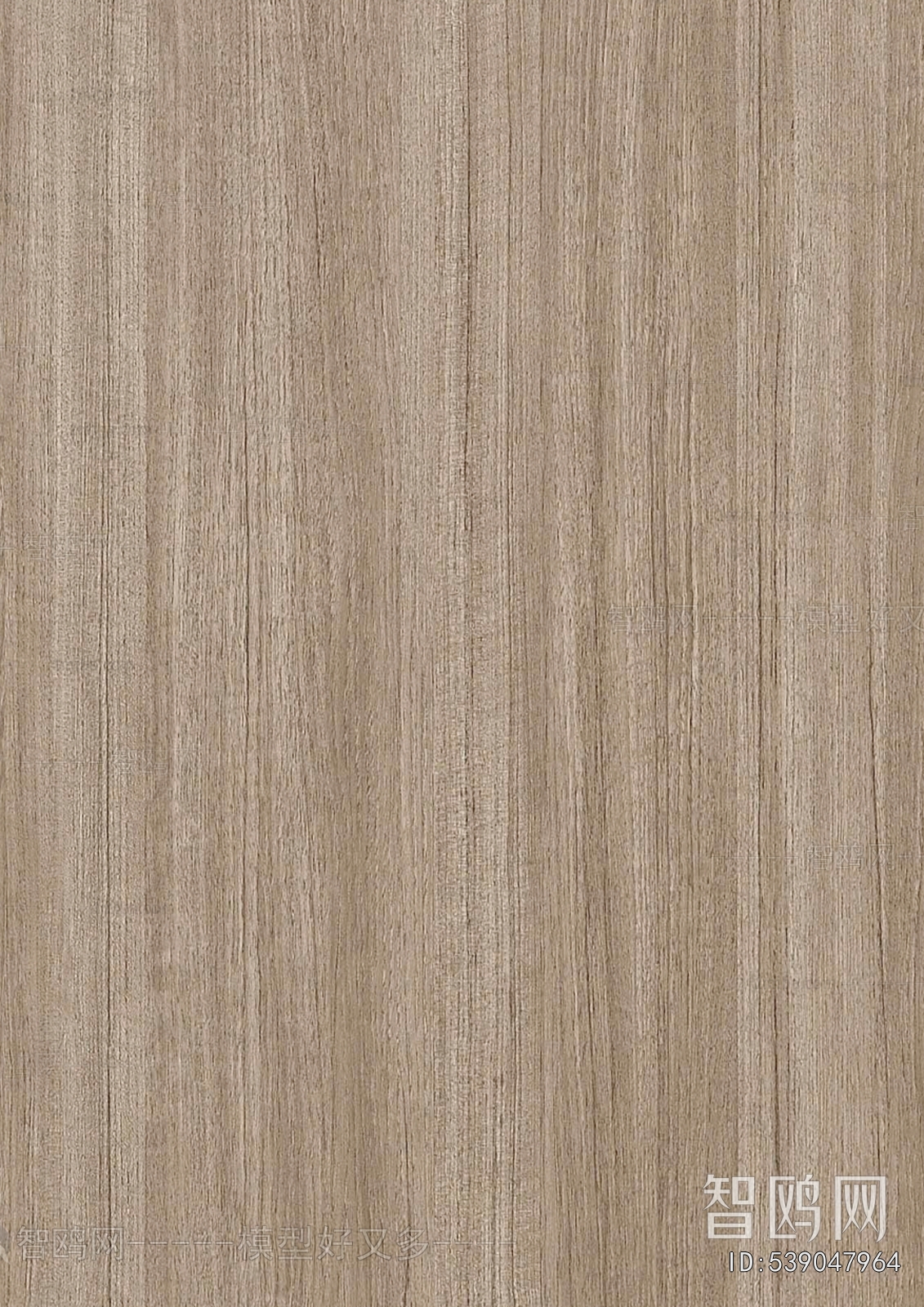 Wood Texture