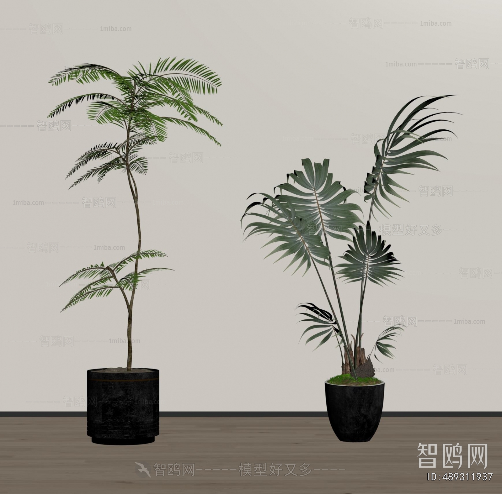 Modern Ground Green Plant Potted Plants