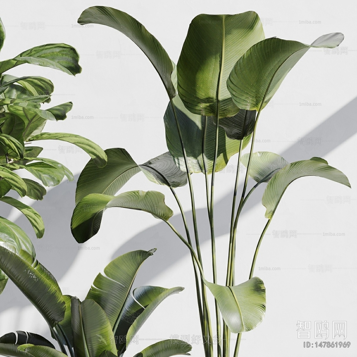 现代落地绿植盆栽3D模型下载