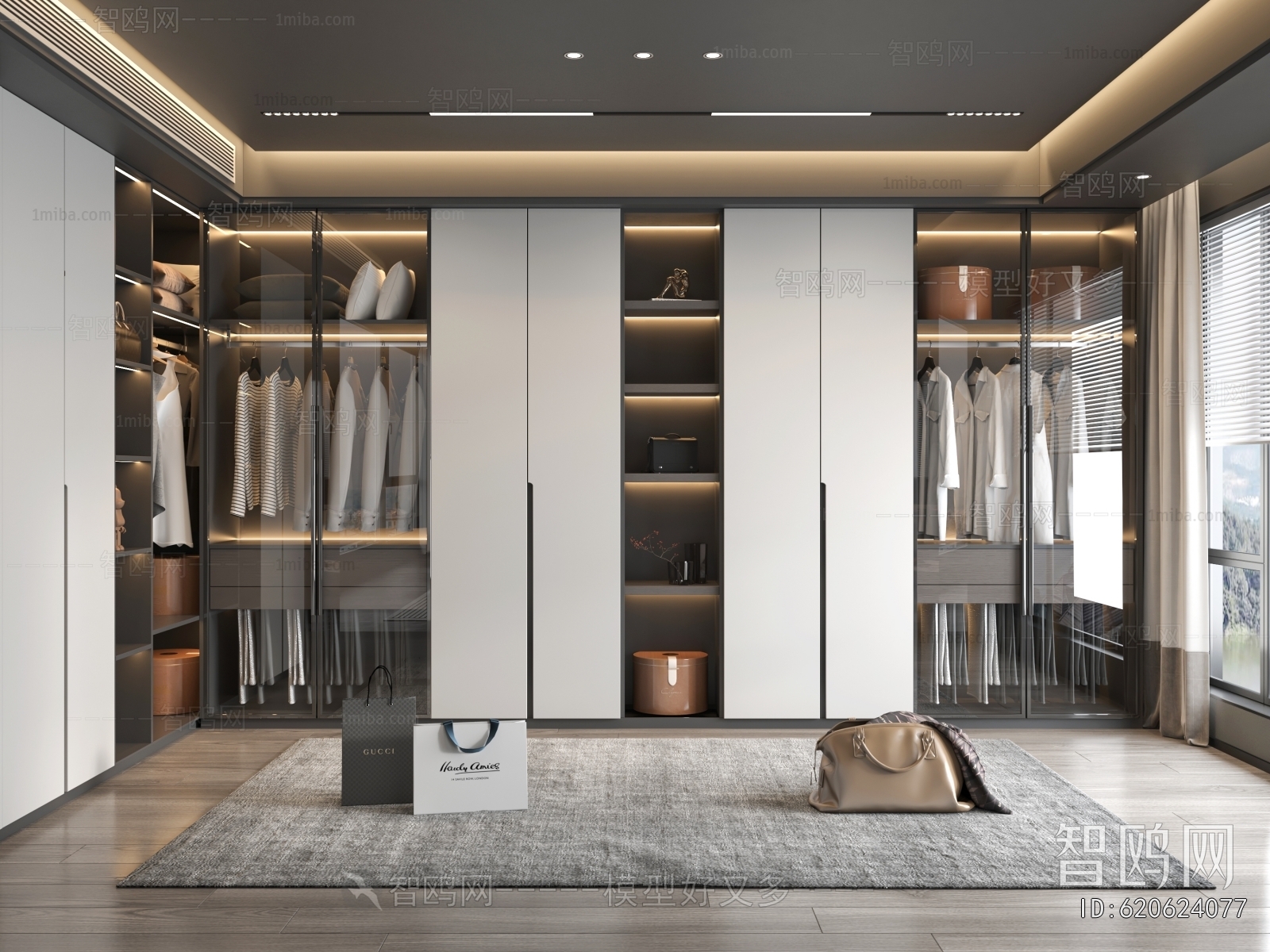 Modern Clothes Storage Area