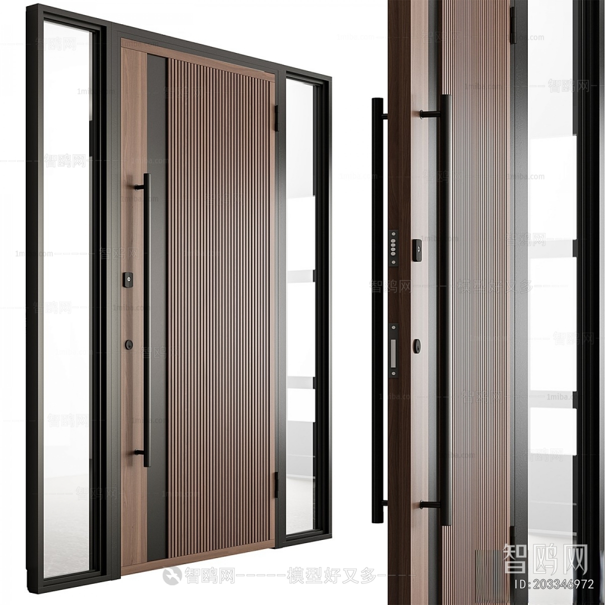 Modern Entrance Door