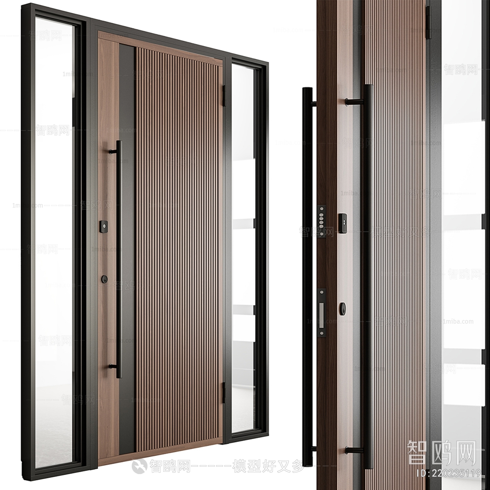 Modern Entrance Door