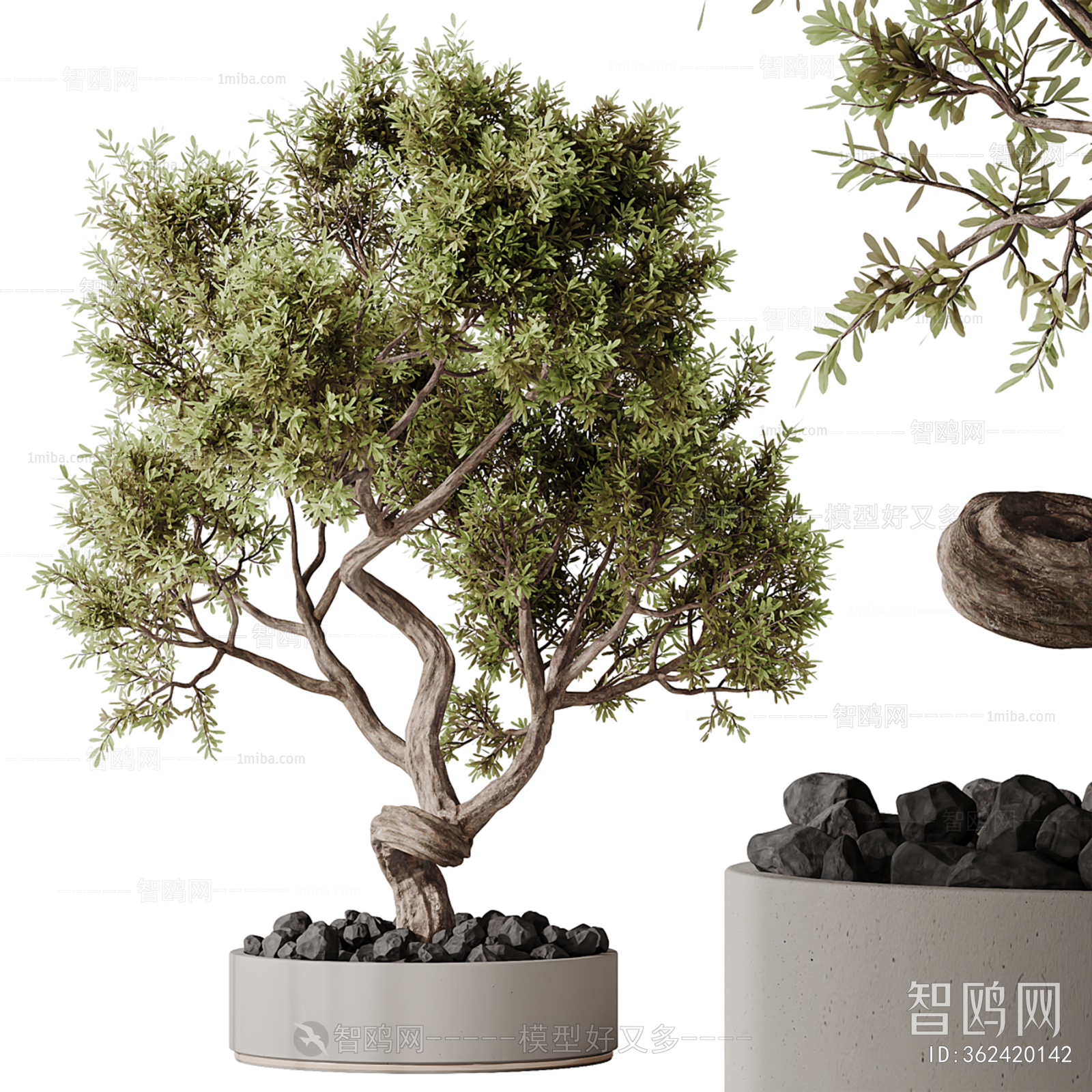 现代榕树盆景3D模型下载
