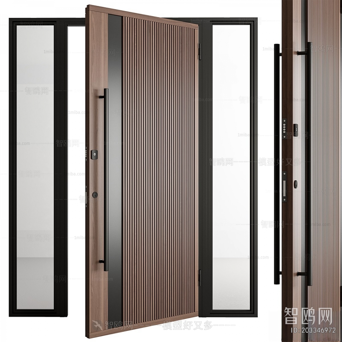 Modern Entrance Door