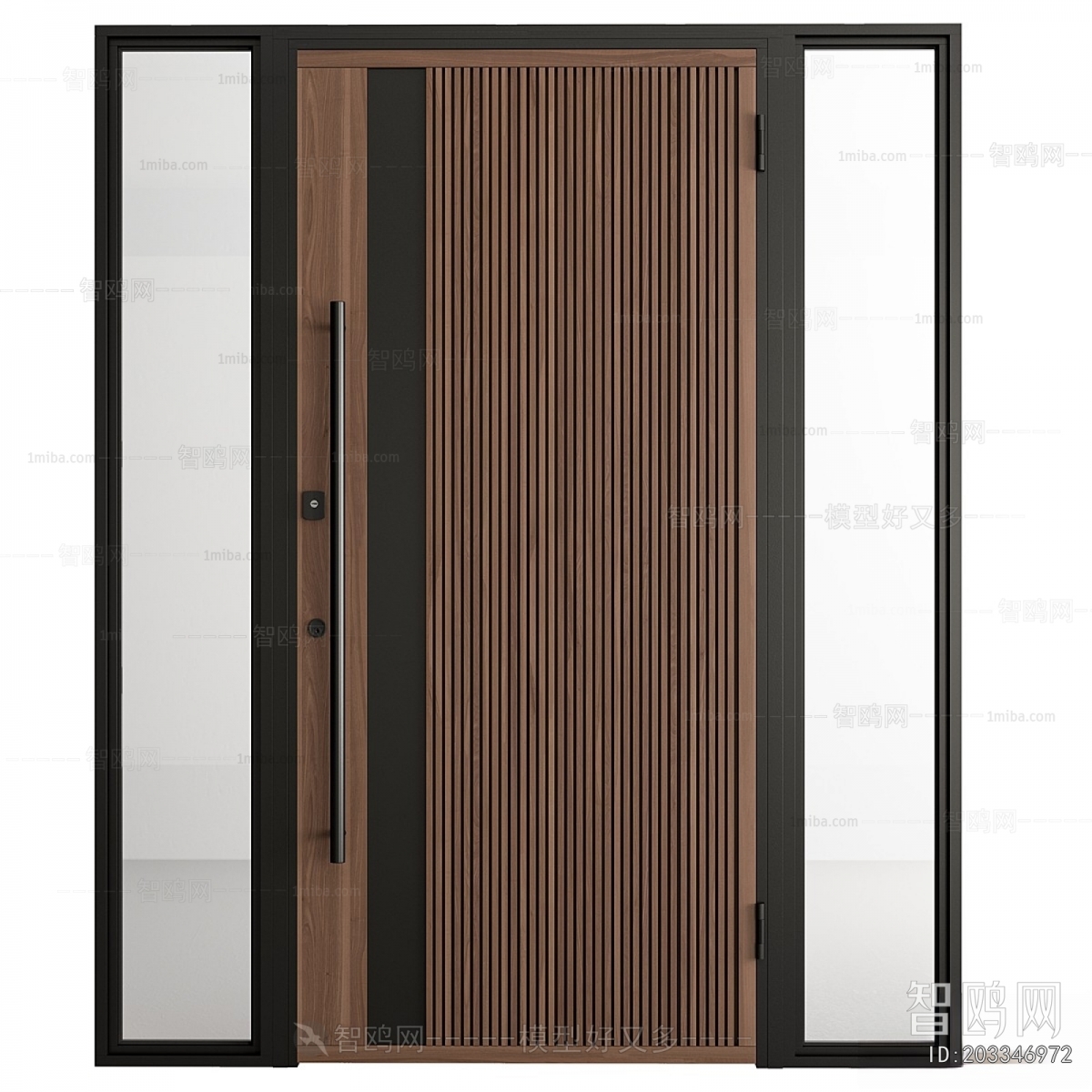 Modern Entrance Door