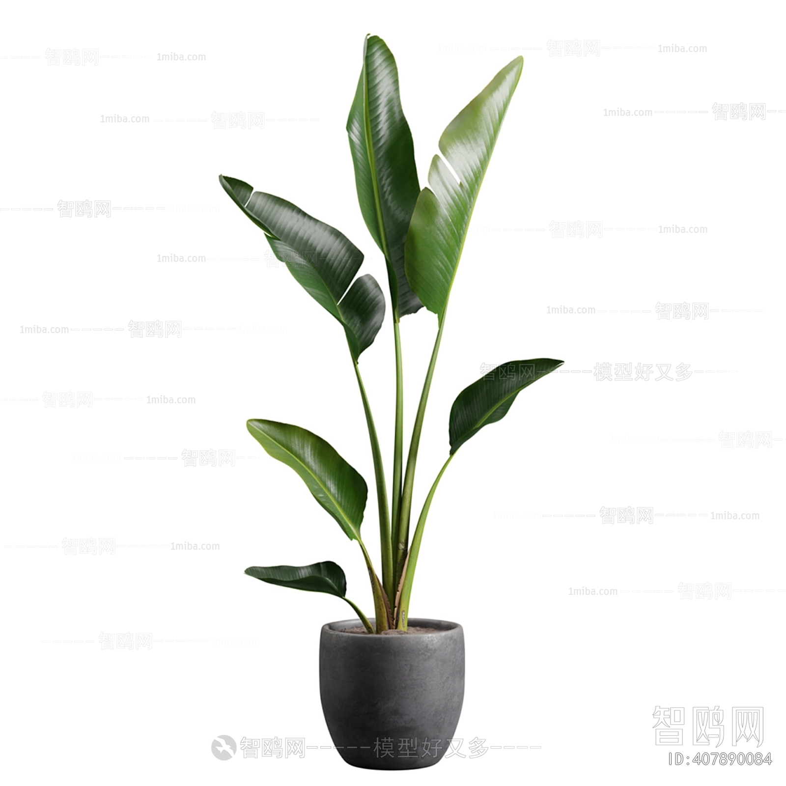 Modern Ground Green Plant Potted Plants