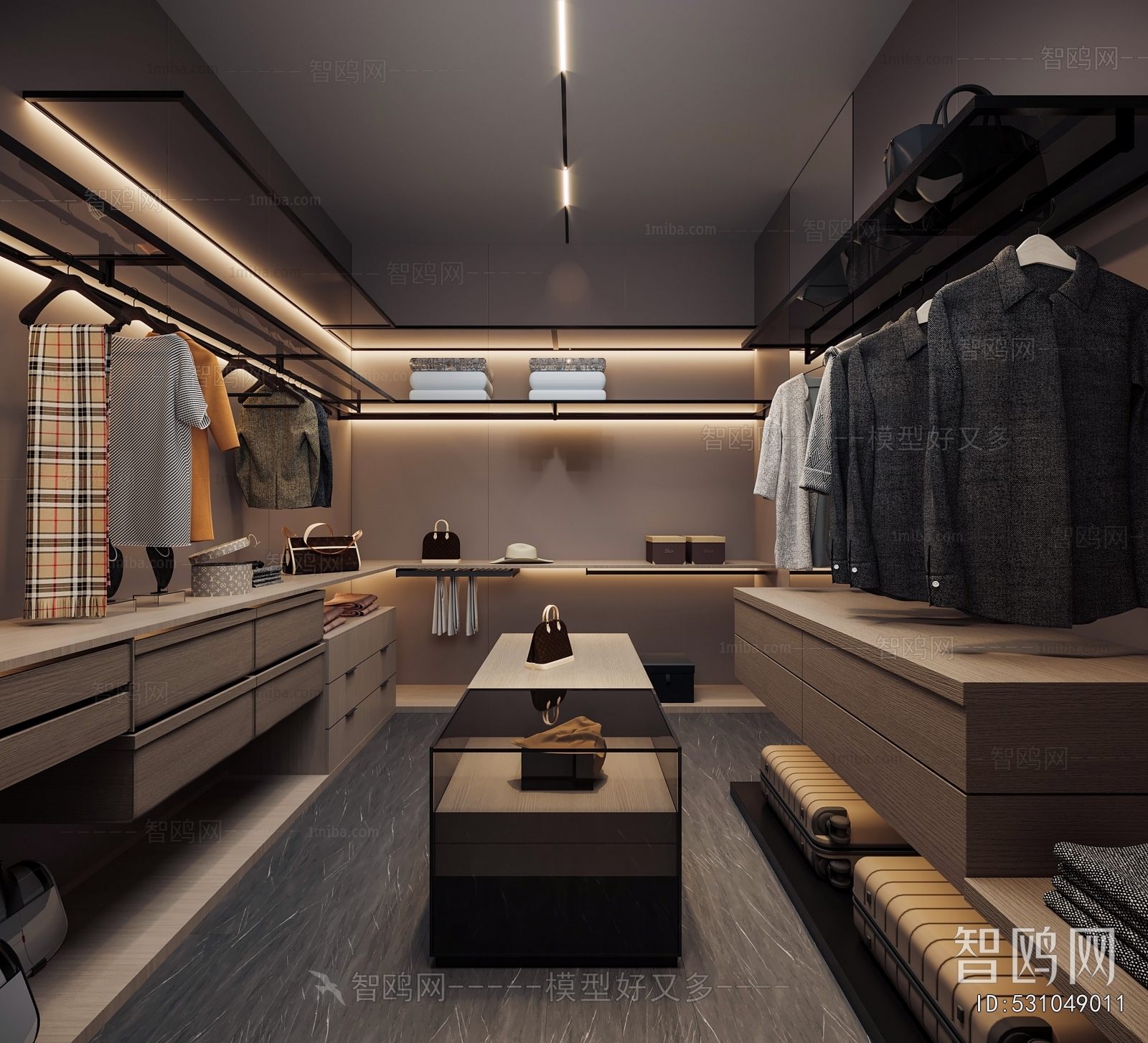 Modern Clothes Storage Area