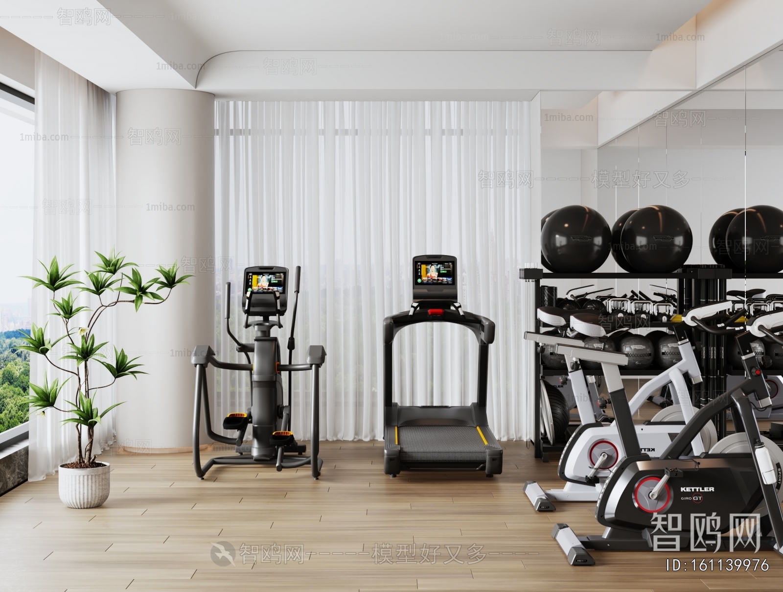 Modern Home Fitness Room