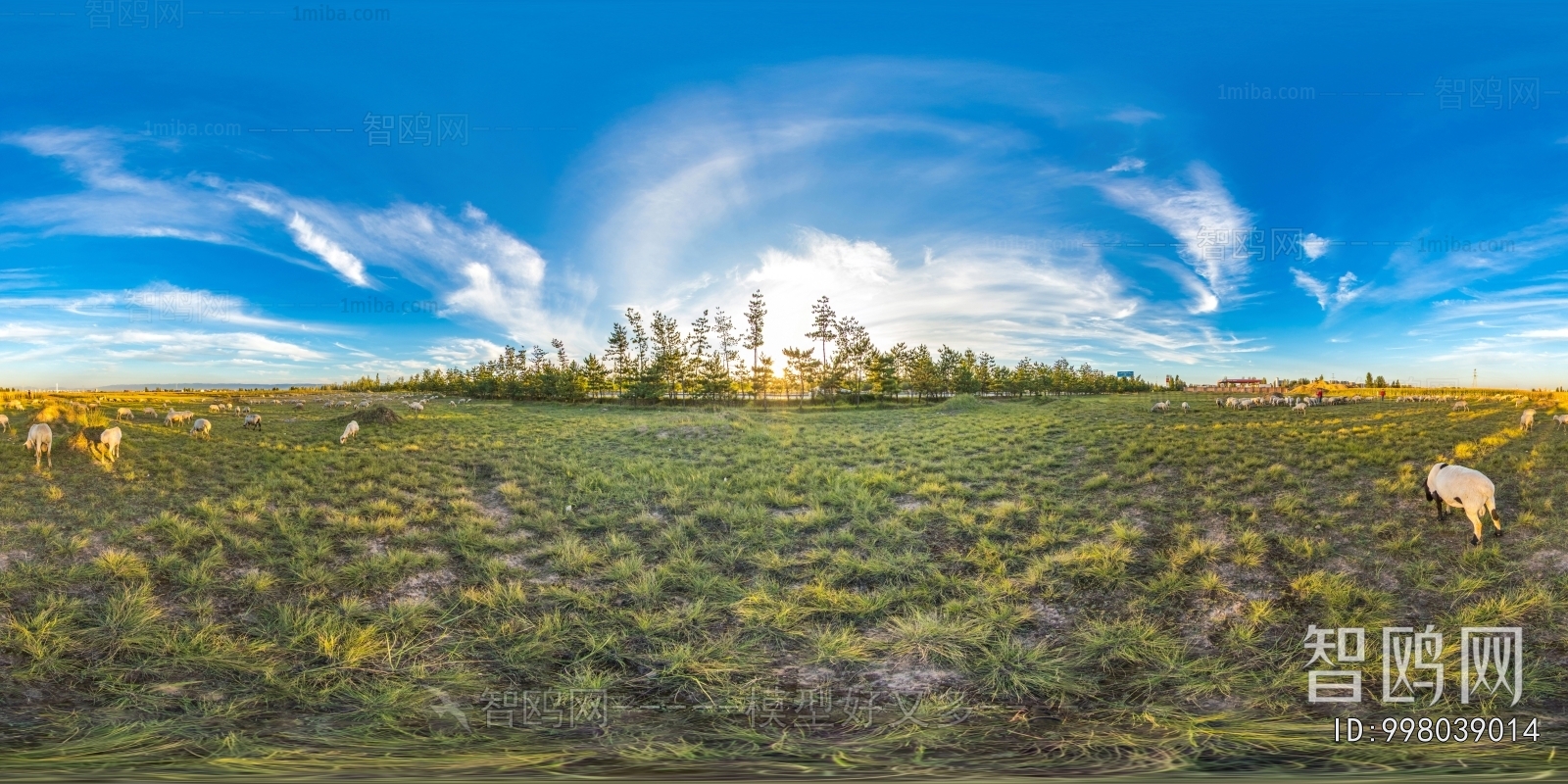 乡村田野户外风景全景HDR