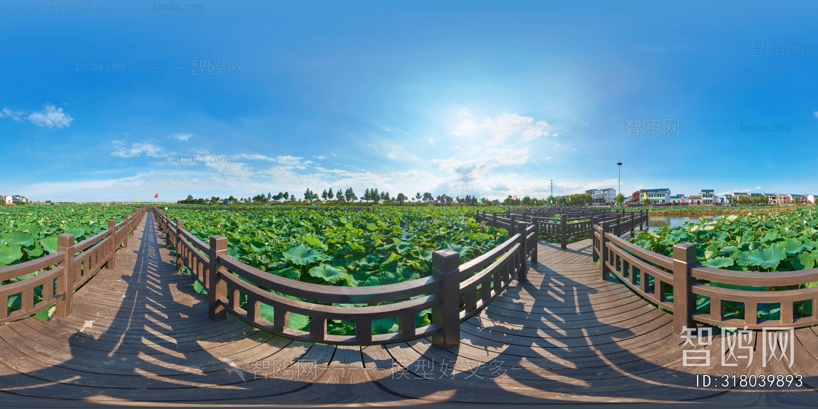 乡村田野户外风景全景HDR