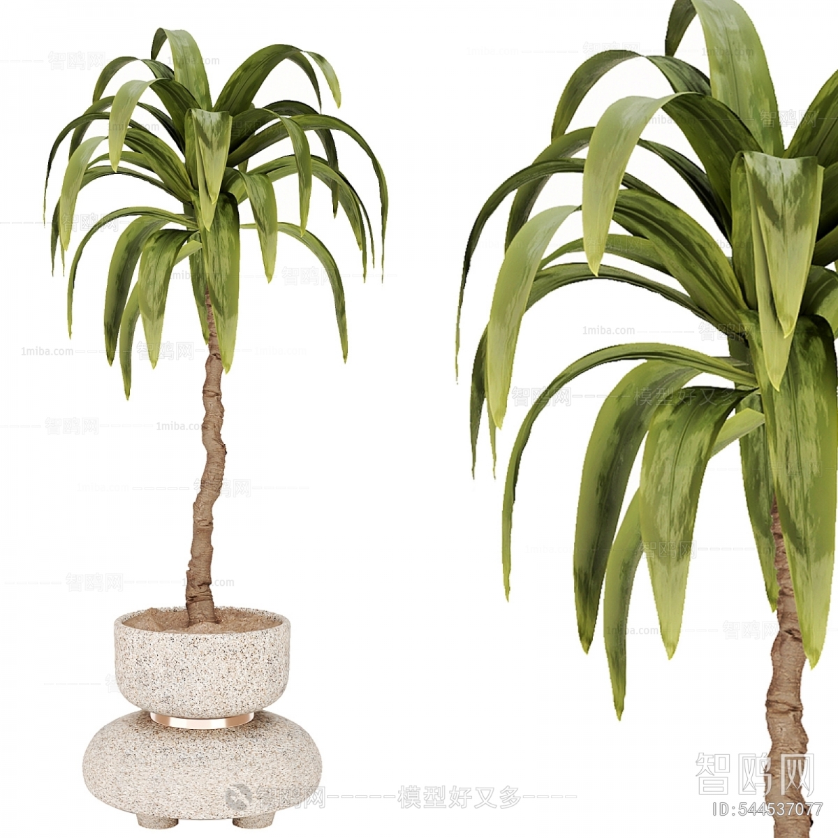 Wabi-sabi Style Ground Green Plant Potted Plants