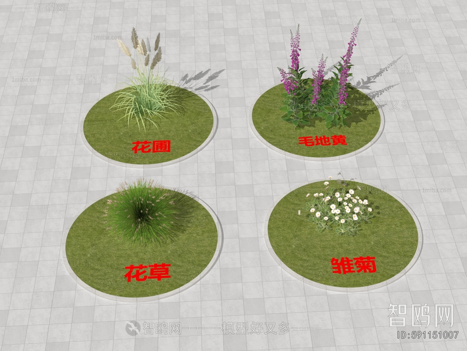 Modern Flowers And Grass