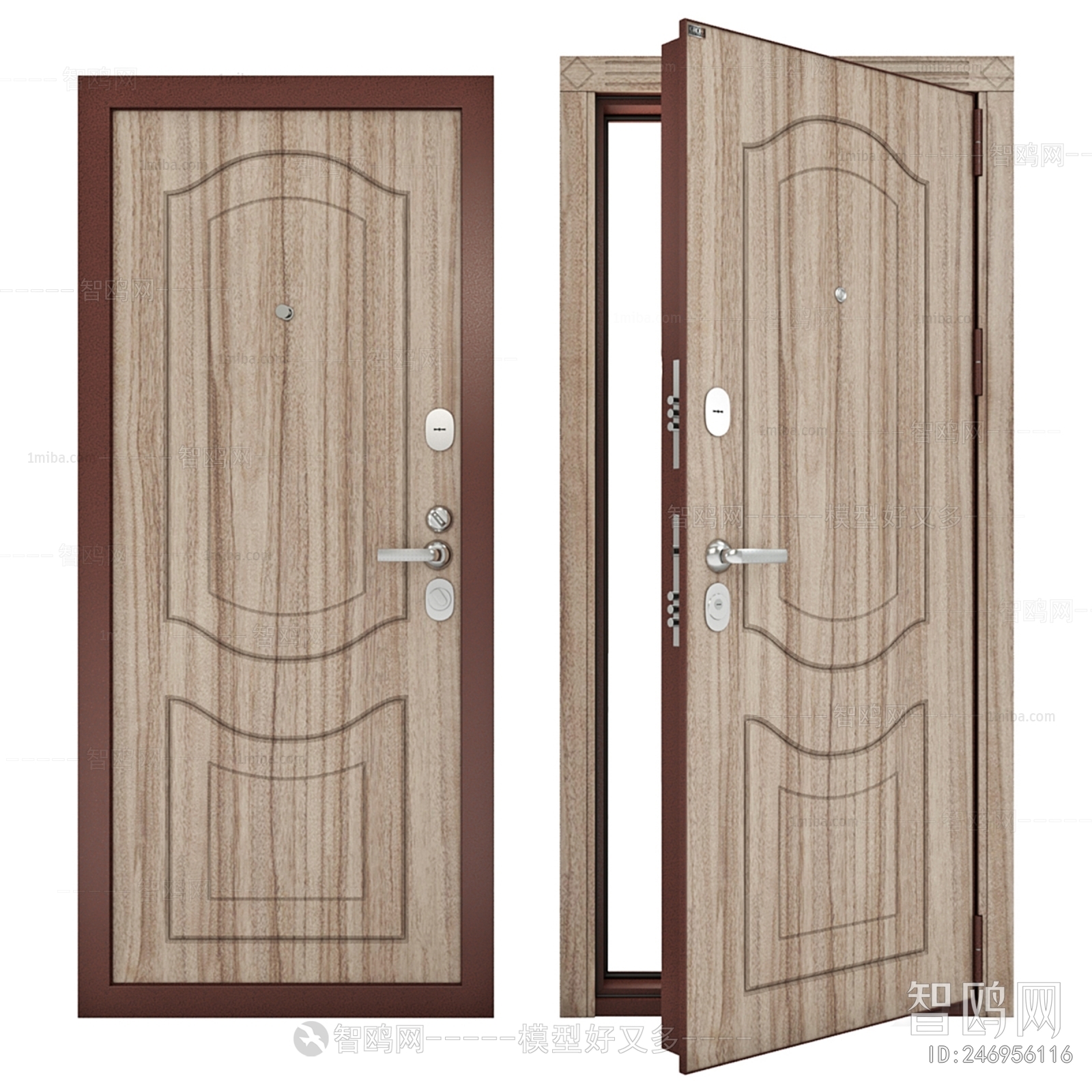 Modern Entrance Door