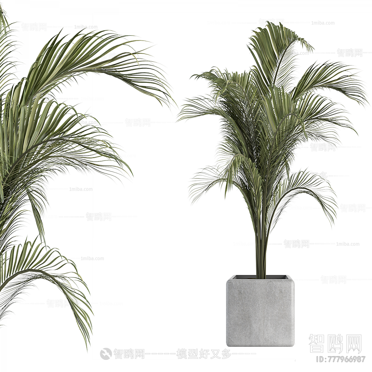 Wabi-sabi Style Ground Green Plant Potted Plants