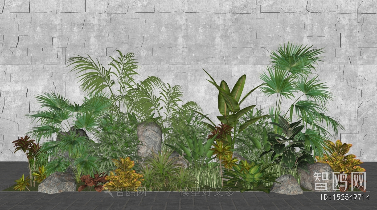 现代庭院植物组合
