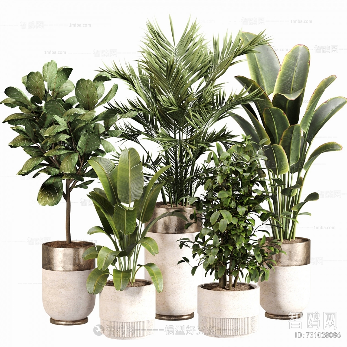 Modern Ground Green Plant Potted Plants