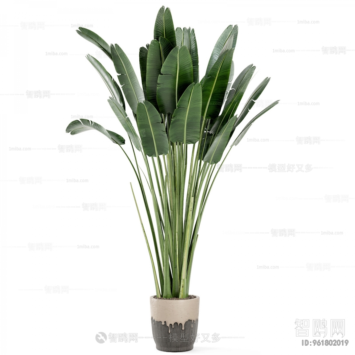 Modern Ground Green Plant Potted Plants