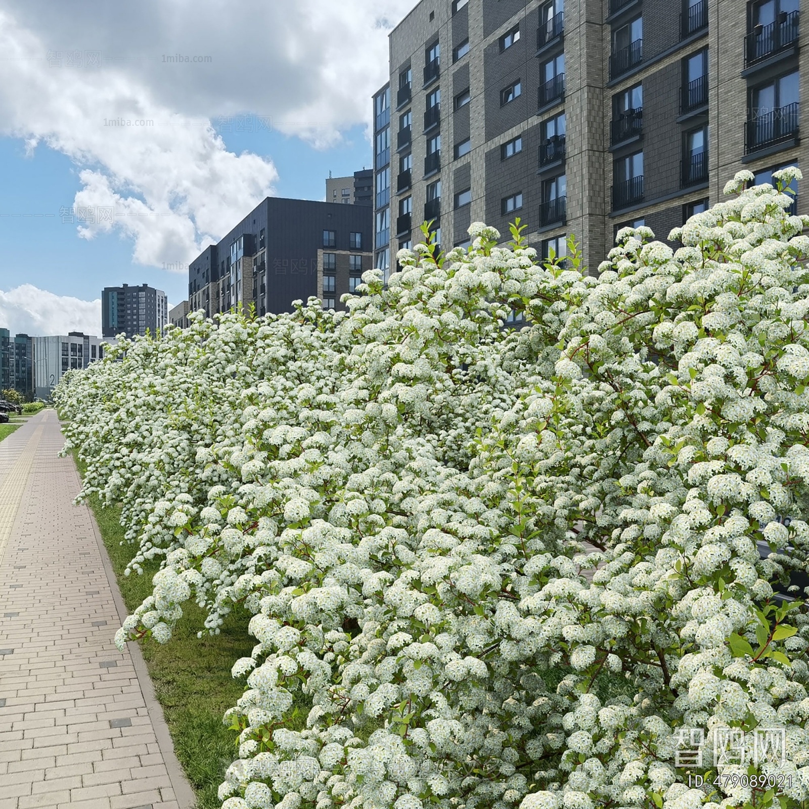 Modern Shrubbery