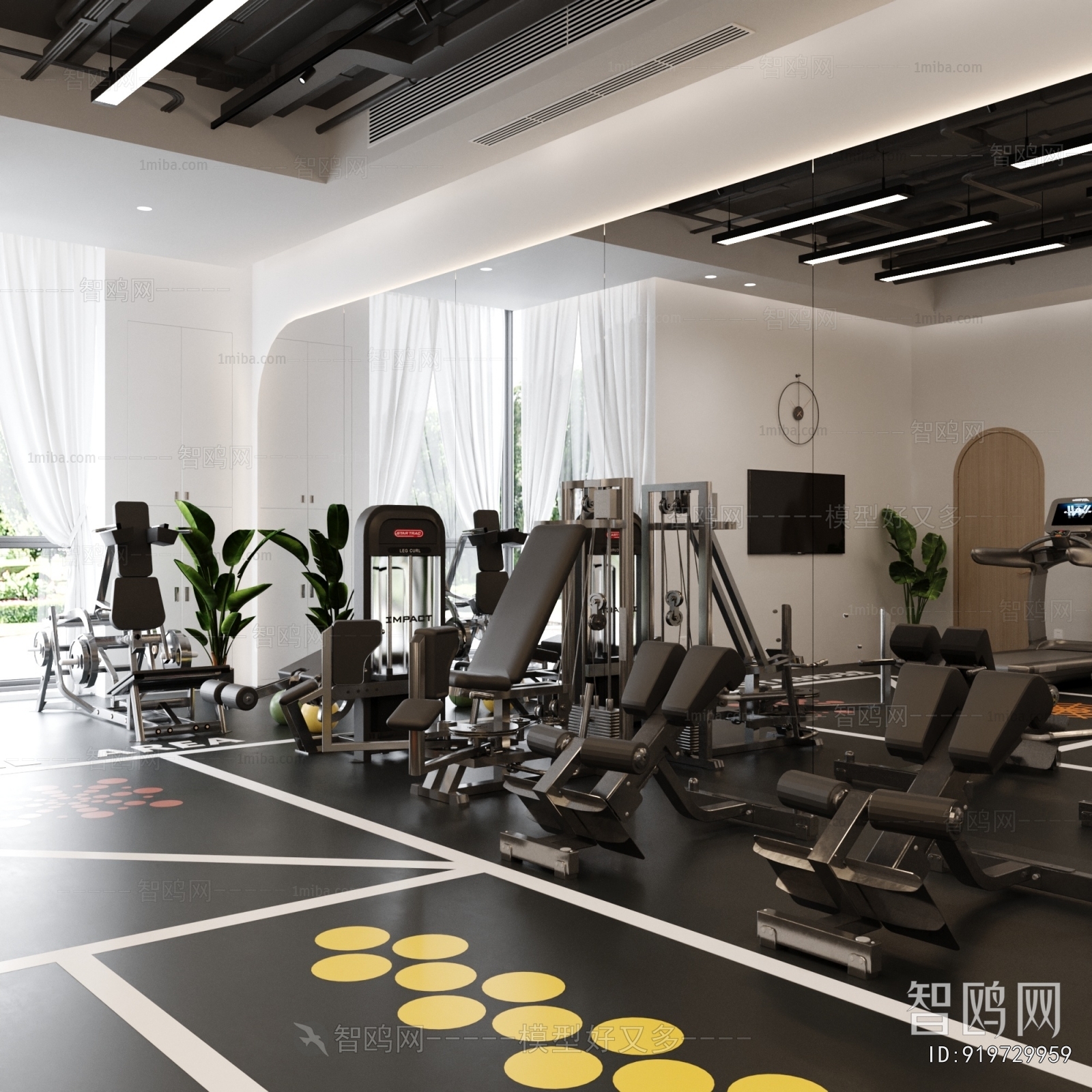 Modern Gym