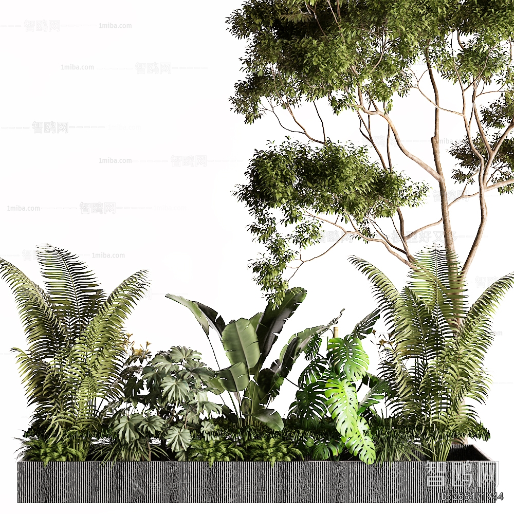 现代灌木绿植 景观树3D模型下载