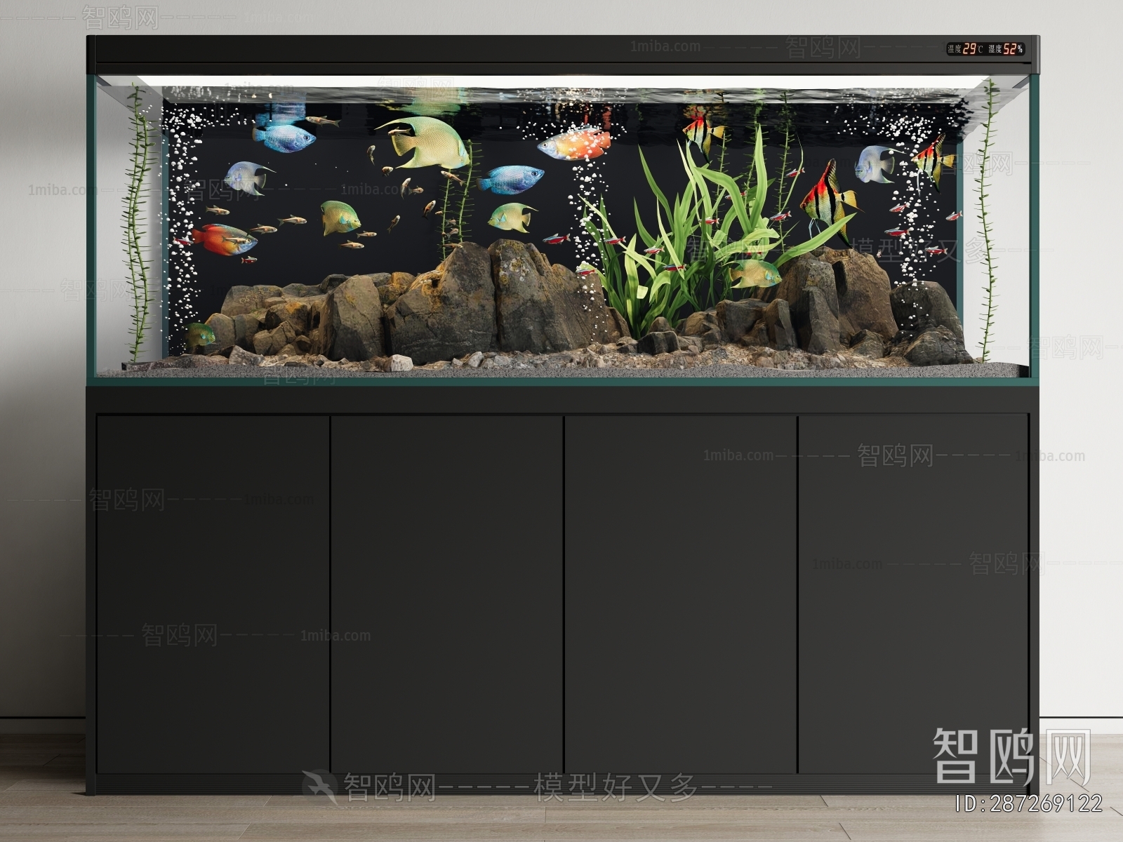 Modern Fish Tank