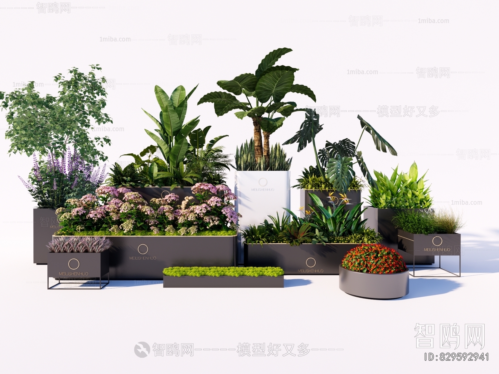 Modern Flower Bed, Flower Bowl, Flower Box