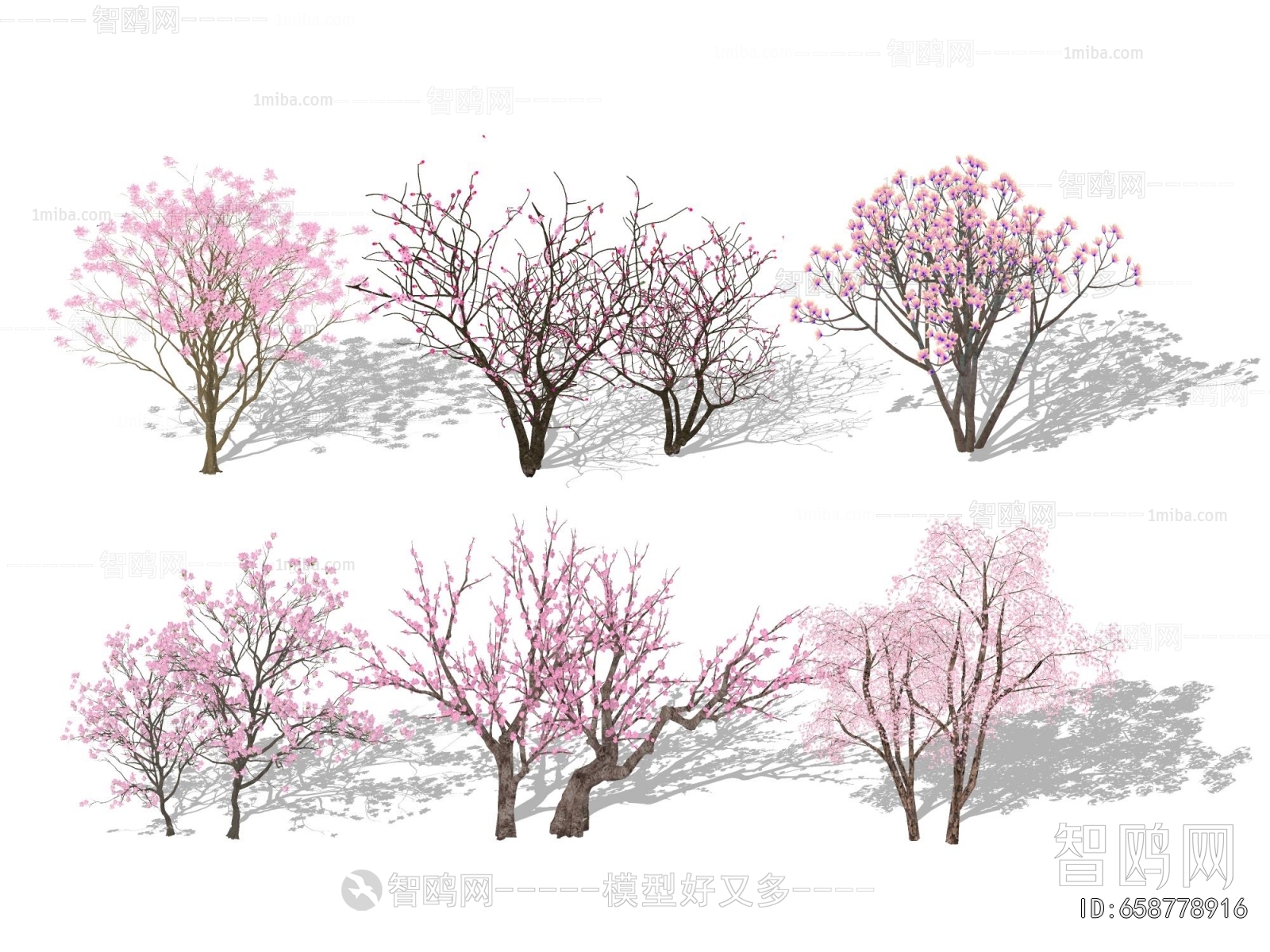 现代景观色叶树 紫薇樱花