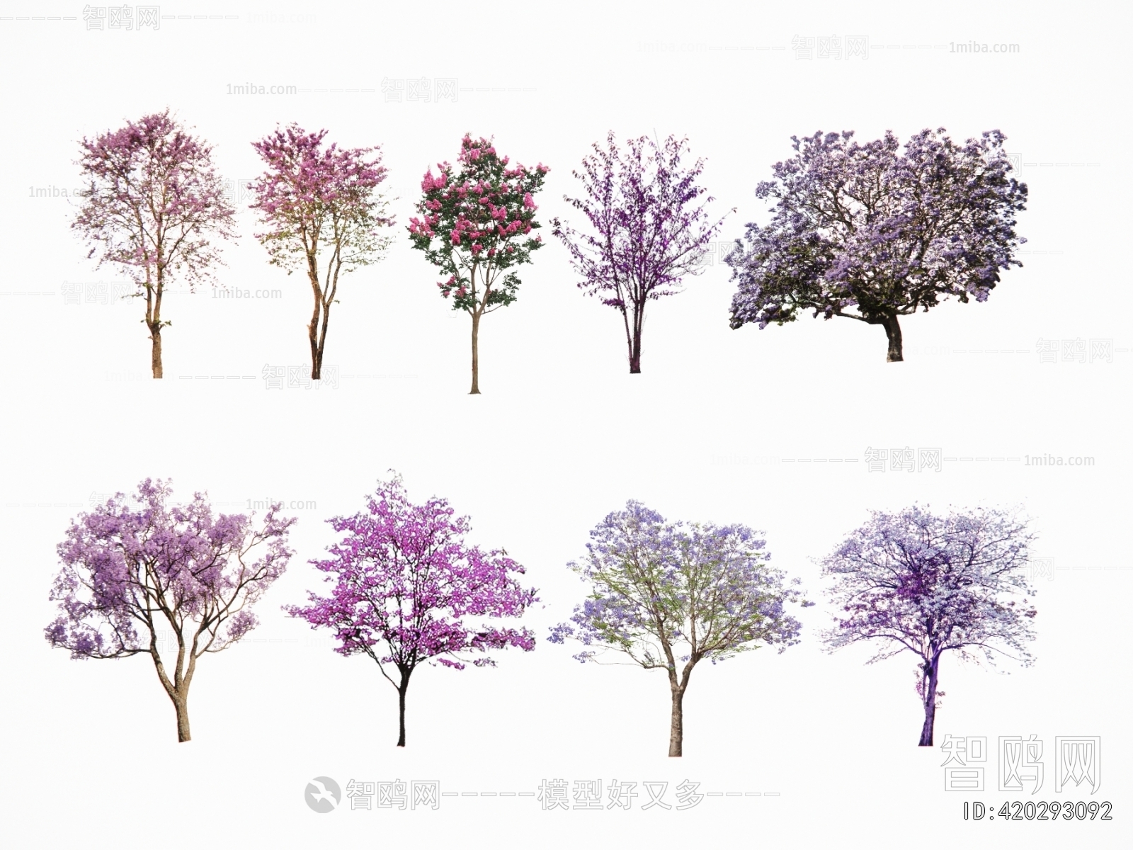 现代景观色叶树 紫荆海棠