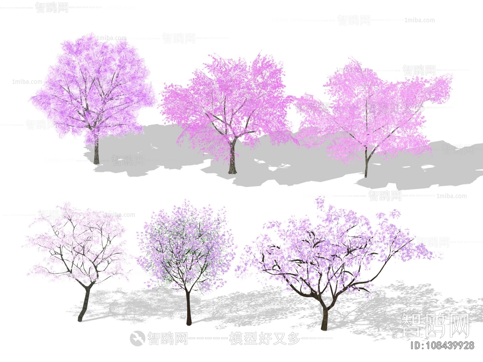 现代景观色叶树 海棠樱花