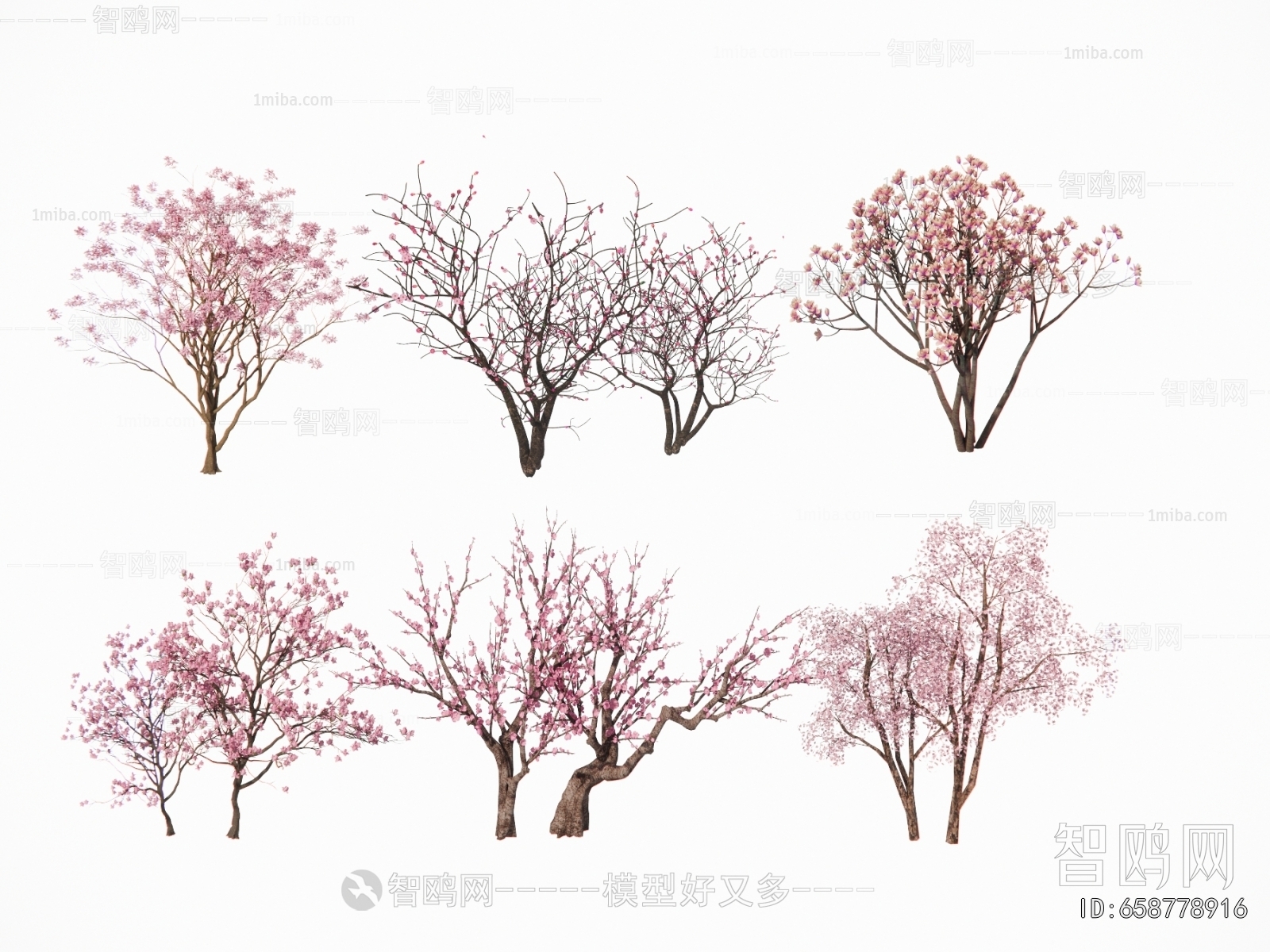 现代景观色叶树 紫薇樱花